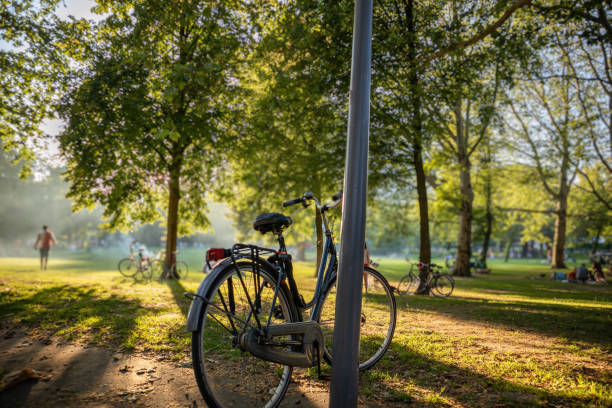 People enjoy picnic or sport on grass at park in Rotterdam Netherlands. Bike parked at pole and tree stock photo