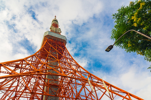 Tokyo Tower wth green tree blue sky, Tokyo Japan