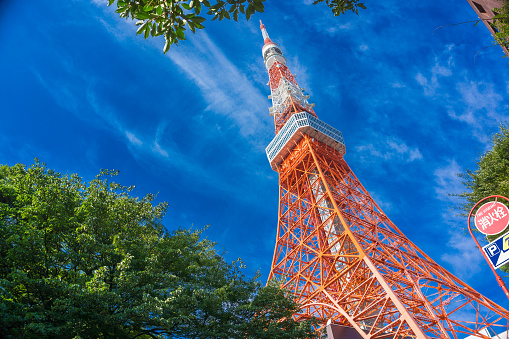 Tokyo Tower on sunshine day with blue sky green tree leaf foreground, Modern architecture
