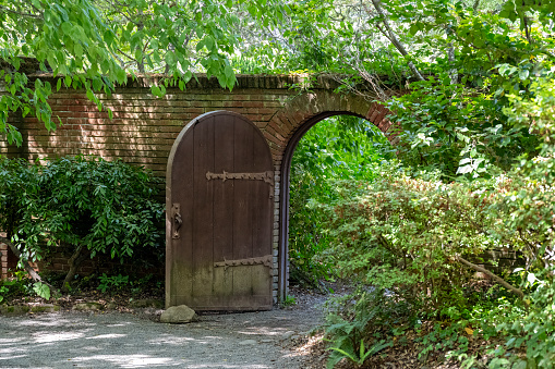 Ancient arched wooden gate in lush garden, brick wall, dappled light on a sunny day.