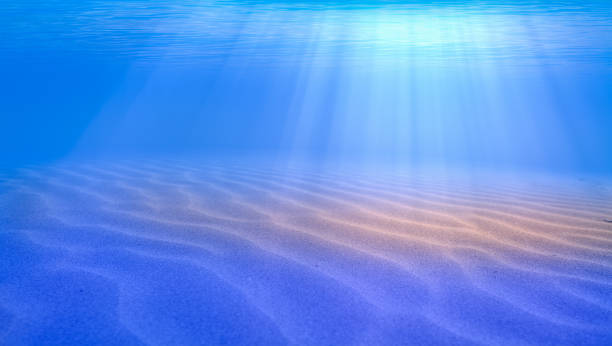 istock Underwater blue ocean background in sea 1527032108