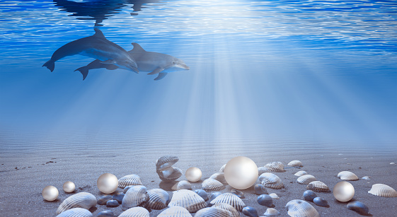 Blue sea or ocean water surface and underwater with sunny day - Many seashells in the sea