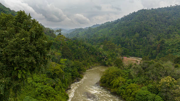istock River in the rainforest. Sumatra, Indonesia. 1527086874