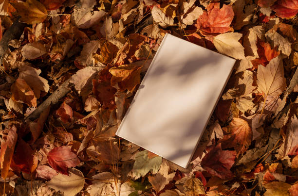 istock White book in nature surrounding fall leaves 1527228512