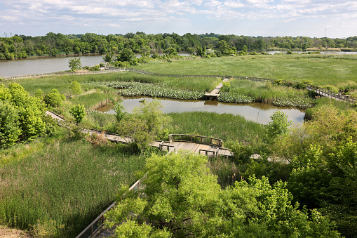 The scenery of Russell Peterson Wildlife Refuge with Christiana River and I-495 highway in the distance, Wilmington, Delaware