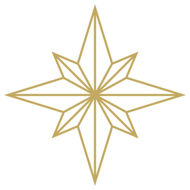 illustrations, cliparts, dessins animés et icônes de vecteur contour abstrait de l’étoile de noël en or. arrière-plan isolé. - poinsettia