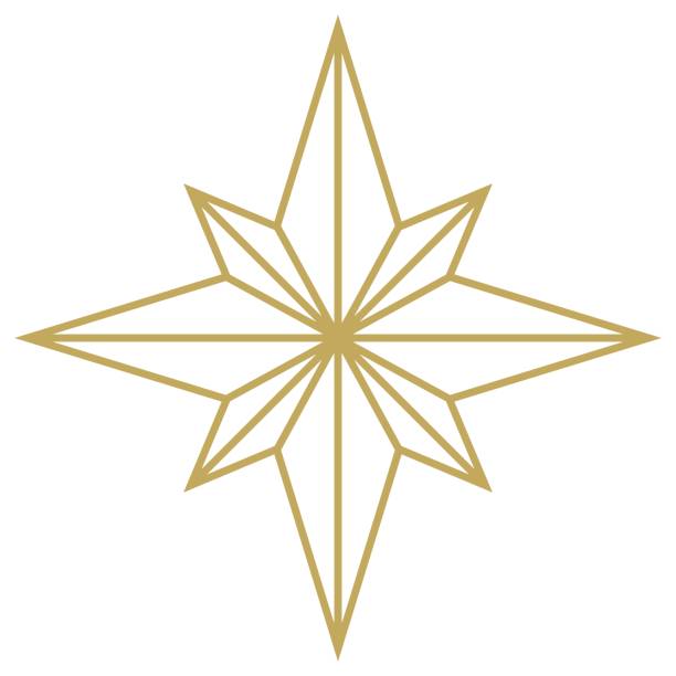 ilustrações, clipart, desenhos animados e ícones de vetor de contorno abstrato da estrela de natal em ouro. fundo isolado. - poinsettia