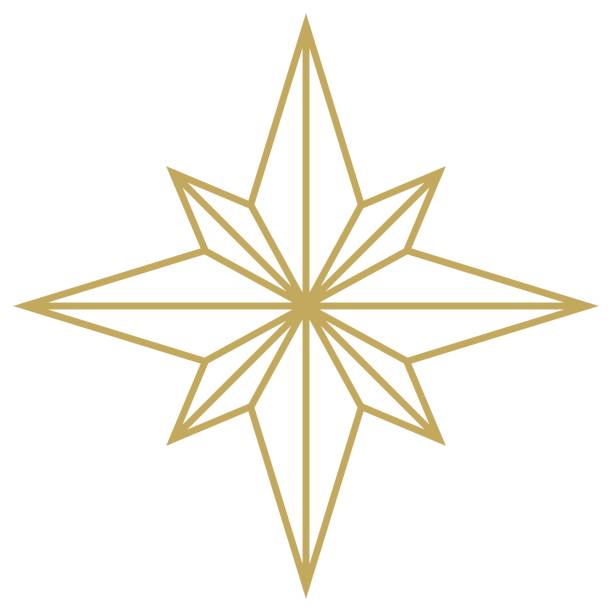 Christmas Star abstract outline vector in Gold. Isolated Background. Christmas Symbol for Jesus birth.
Useable for background, wall paper, invitation, calendar, greeting cards etc. mexican native flower stock illustrations