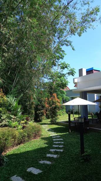 istock nice garden behind the house 1527295233