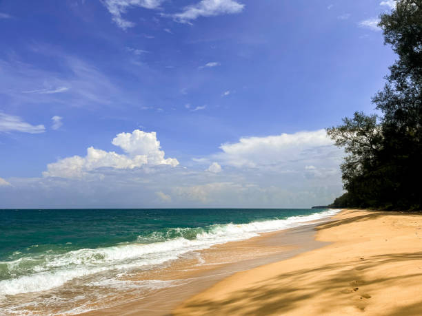 istock Dreamy beach with golden sand, clear blue waters and warm sunlight 1527306101