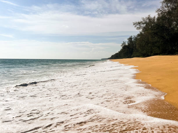 istock Dreamy beach with golden sand, clear blue waters and warm sunlight 1527307217