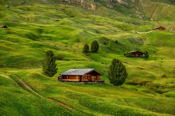 Wooden alpine huts on the grassy hillside of the Seceda peak in the Italian Dolomites.