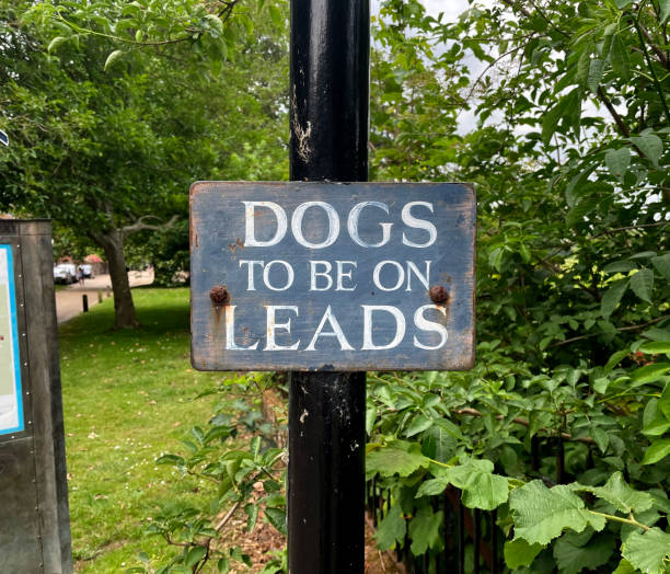 istock Dogs to be on leads sign 1527340656