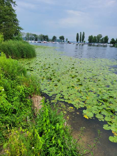 istock A view of Lake Zegrzynski. 1527345945