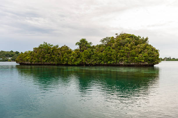 île de koror, palaos. arbre vert. petit. - micronesia lagoon palau aerial view photos et images de collection