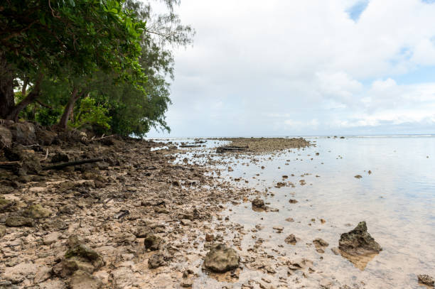 istock Low Tide Water in Peleliu, Palau Island. Beach. Micronesia 1527433278
