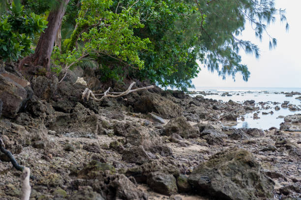 istock Low Tide Water in Peleliu, Palau Island. Beach. Micronesia 1527434859