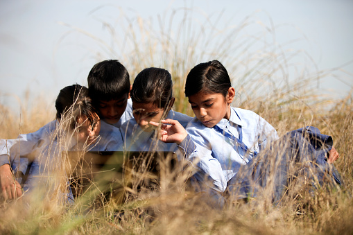 Elementary age school students of Indian ethnicity sitting near pampas grass together and using laptop portrait close up.