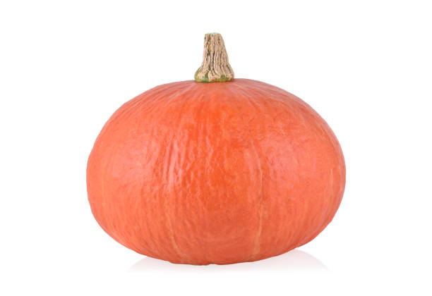 istock Japanese pumpkin on a white background. 1527508252