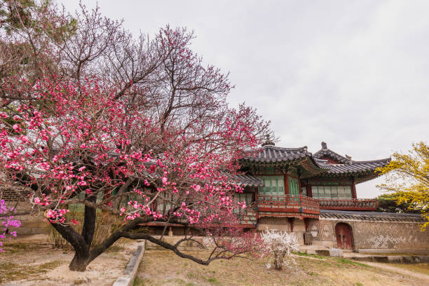 istock Seoul's popular landmarks in springtime 1527541703