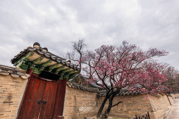 istock Seoul's popular landmarks in springtime 1527541713