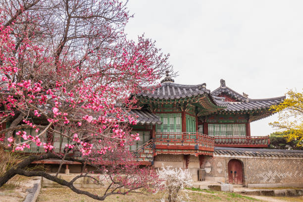 istock Seoul's popular landmarks in springtime 1527541730