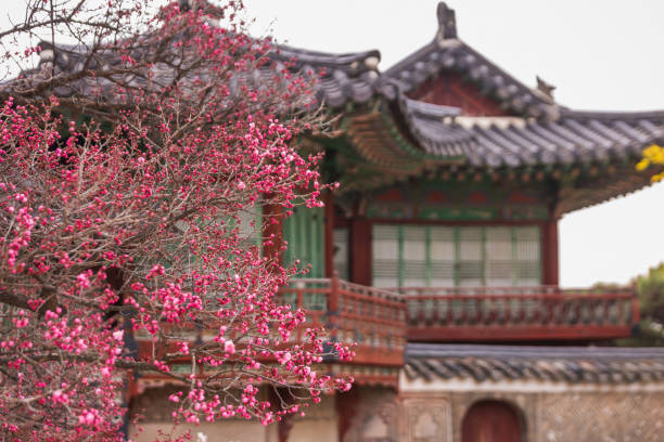 istock Seoul's popular landmarks in springtime 1527542274