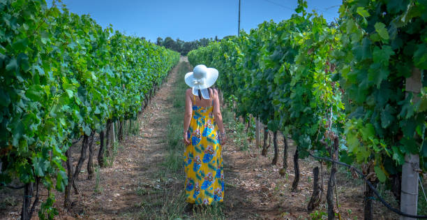 девушка в белой соломенной шляпе гуляет по винограднику верментино недалеко от альгеро на севере сардинии - buio стоковые фото и изображения
