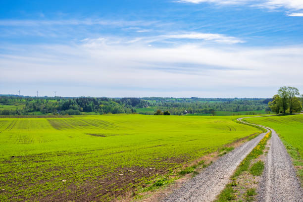 istock Winding farm road on a field with a beautiful view 1527555524
