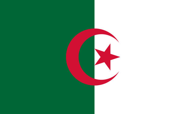 algeria flag. vector illustration eps10 - 阿爾基爾 幅插畫檔、美工圖案、卡通及圖標