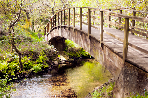 Mountain stream, wooden footbridge, green landscape, flowing clean water,  green grass, pebbles, hiking route, Lugo province, camino de santiago,  Galicia, Spain.