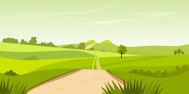Vector illustration of Cartoon rural grassland landscape, rural lane road to horizon through green pasture meadows with grass and trees in fields, summer farmland panorama. Farm field landscape vector illustration.
