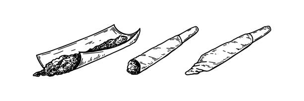 совместный набор каннабиса. нарисованный от руки сплифф марихуаны. векторная иллюстрация в стиле скетч - cigarette wrapping stock illustrations