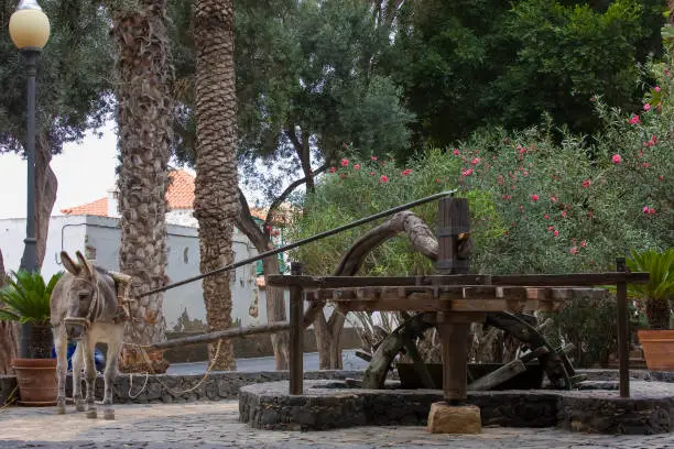 Photo of Water wheel with donkey in Pajara , Fuerteventura , Canary Islands