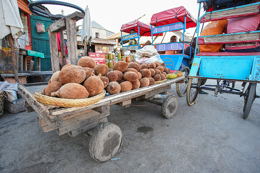 Toliara, Madagascar - May 01, 2019: Light brown baobab tree fruits displayed at street market, heap placed on simple wooden cart, closeup detail, bike taxis waiting in background