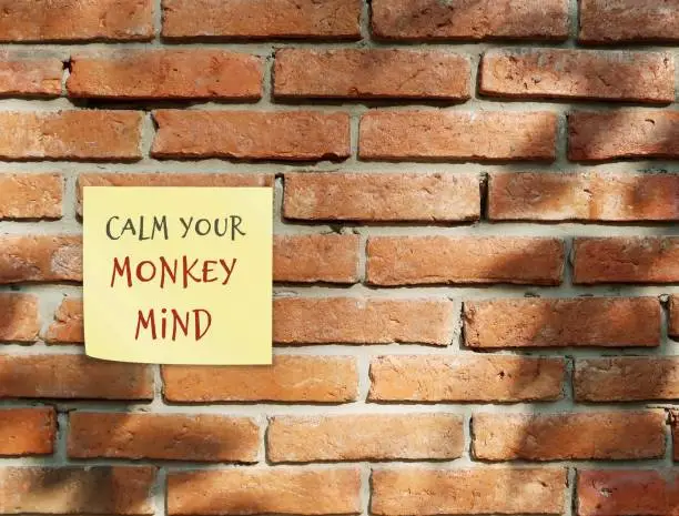 Brown brick wall with note written CALM YOUR MONKEY MIND, Buddhism mindfulness practice to control distraction wandering mind which unfocused jumping from thought to thought like naughty monkey