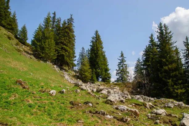 Stockhorn. Alpine landscape in Switzerland. Taken near Thun and Interlaken.