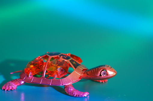 Turtle decorated with decorative ornaments on a green background.