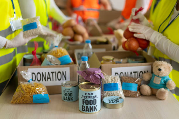 istock Food bank volunteering in process 1527925155