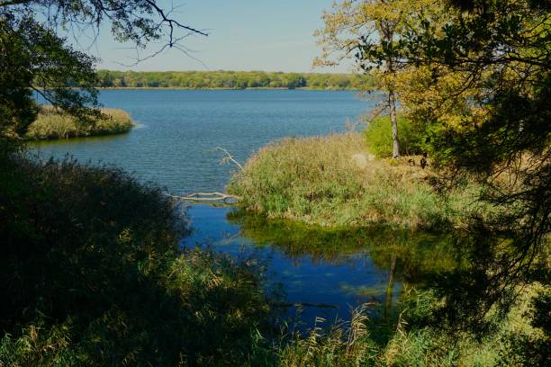 istock Fairfield Lake State Park Texas 1527952566
