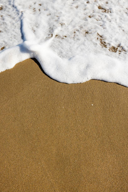 istock Nature’s Artistry: Captivating Beauty of Sea Foam on the Beach 1528030003