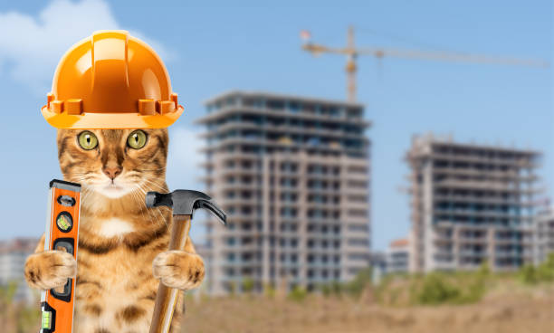 istock Funny cat in a construction helmet on the background of a construction site. 1528031600