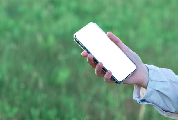 istock Hand holding phone screen mockup, display mock up over grass, lawn 1528036988
