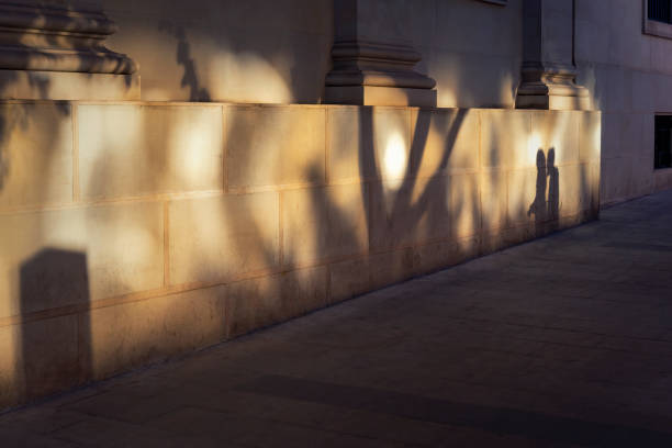 Old house wall in alicante city shadows of trees