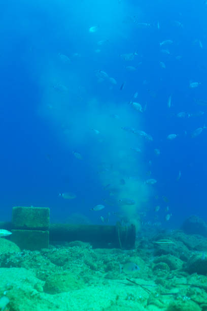 Immerse yourself in an environmental challenge as a vibrant color image portrays a submarine outfall disrupting the water with sediment, impacting water quality and highlighting the ecological consequences of this captivating composition.