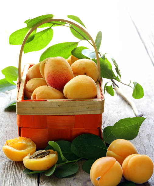 istock fresh organic apricot berries in a basket 1528095813