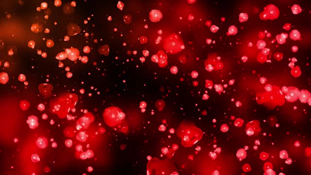 Red Rose Petals Motion Animation
