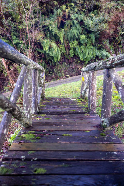 istock chiloe south of Chile landscape 1528114711
