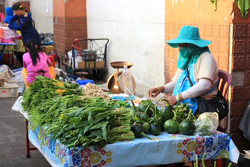 A vendor selling a wide variety of fresh vegetables. At the Lampang Municipal Fresh Market.