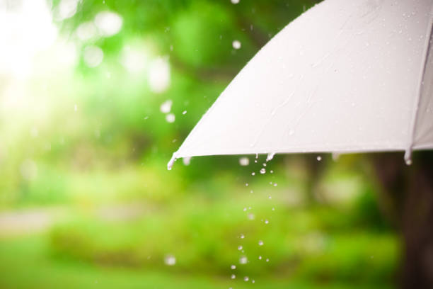 istock rain on umbrella. rainy season weather concept. 1528127657